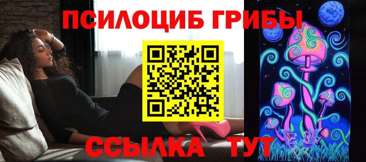 Галлюциногенные грибы прущие грибы Киселёвск