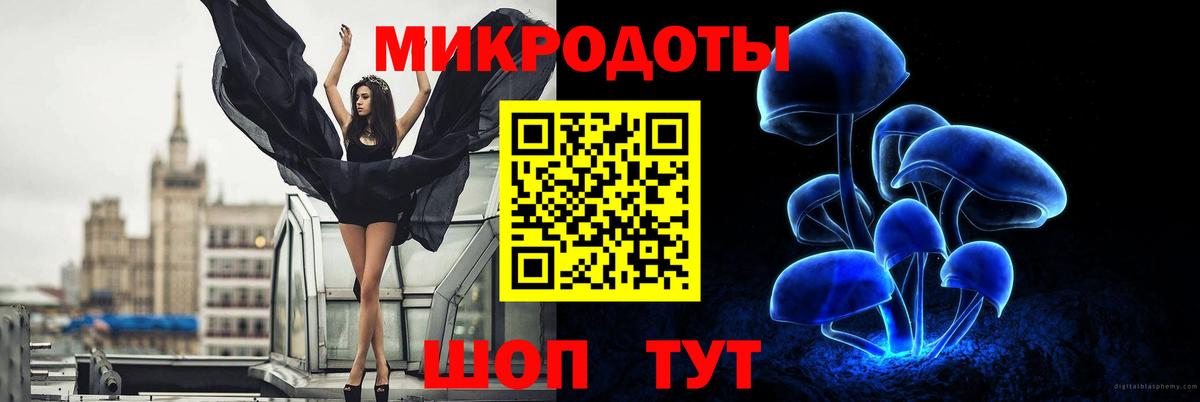 Киселёвск  Псилоцибиновые грибы GOLDEN TEACHER  Вход с VPN 
