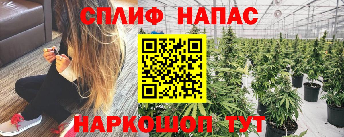 Бошки марихуана марихуана Киселёвск
